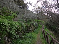 cantara gurne23122011 226
